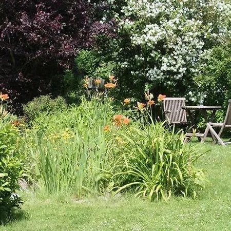 Der Lebensgarten Krokus